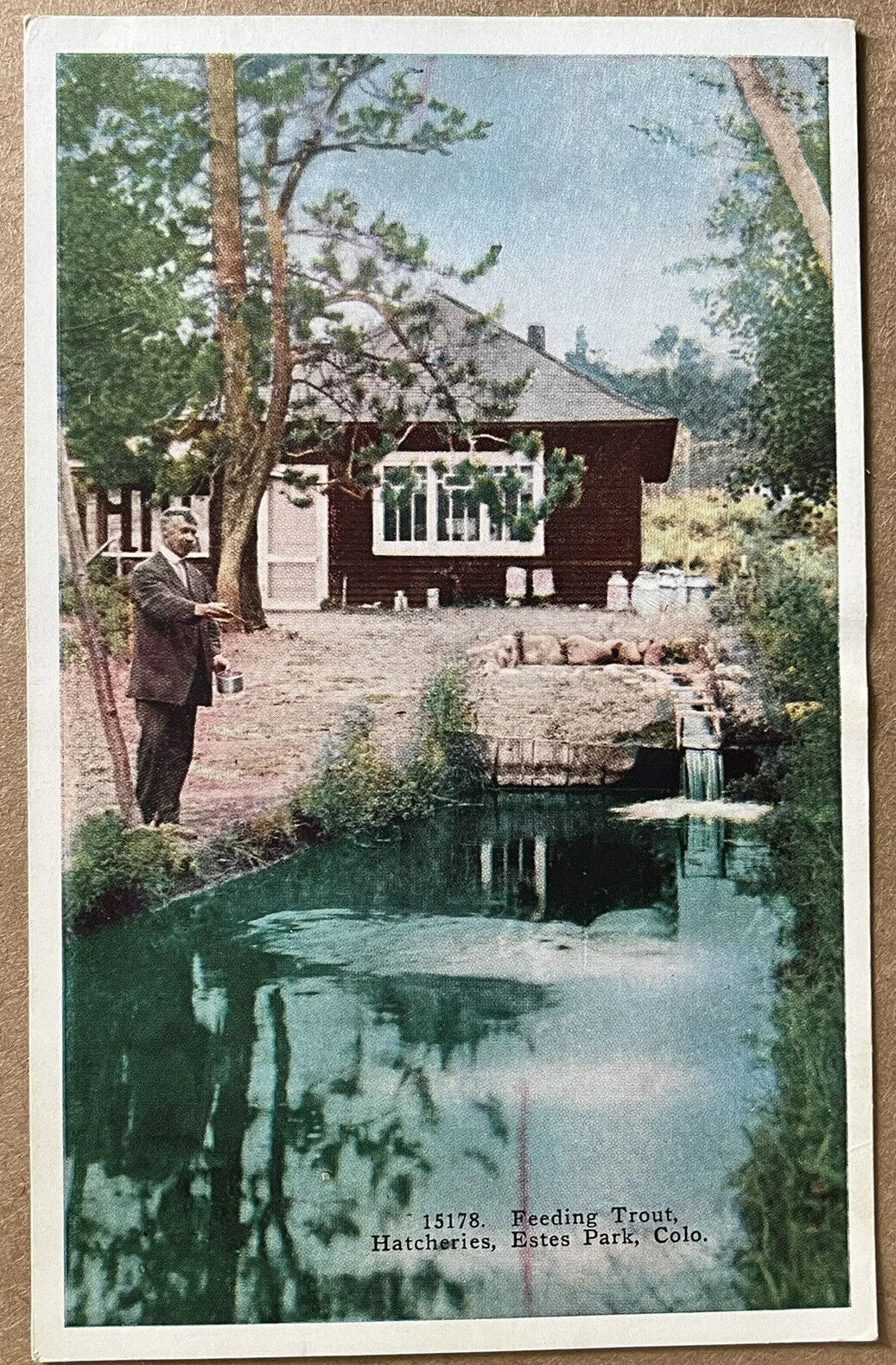 Estes Park Man Feeding Fish Trout Hatchery Colorado Vintage Postcard c1920