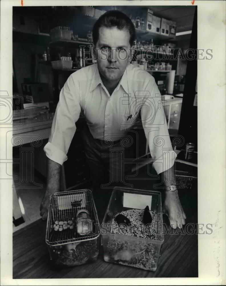 1981 Press Photo Joseph Jollick w/ lab mice containing rabbit genes - cva37973