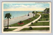 Tampa FL-Florida, Bay Shore Drive, Vintage Postcard picture