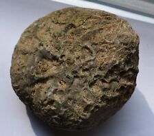 Geode Whole Amygdule Brain Chalcedony, Drusy Natural North Carolina Specimen picture