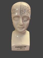 L.N. Fowler Phrenology Piggy Bank 8” Psychology Bust Head Brain Unique Decor picture