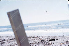 sl52  Original Slide 1960's Huntington Beach Calif Sewage Break 814a picture