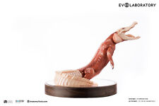 EVOLUTIO - 1/6 CROCODILE ANATOMY PU V4(Albino) statue - 15.75 x 9.05 x 10.25 in picture