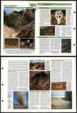 Soil Erosion #77 Conservation Wildlife Fact File Fold-Out Card picture