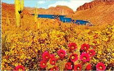 Vintage Postcard Canyon Lake Arizona AZ Spring Time Along The Apache Trail picture