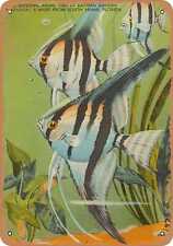 Metal Sign - Florida Postcard - Seeing breeding angel fish at eastern garden aq picture