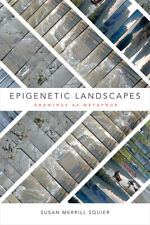 Epigenetic Landscapes: Drawings as Metaphor picture