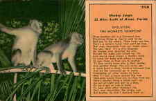 Postcard: 232N Monkey Jungle 22 Miles South of Miami, Florida EVOLUTIO picture