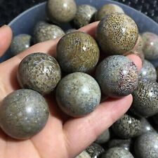 10pcs 27-23mmAwesome Dinosaur Bone Crystal Ball Sphere Madagascar picture