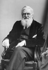 ALFRED RUSSEL WALLACE *2X3 FRIDGE MAGNET* AUTHOR EVOLUTION SCIENTIST SPECIATION picture