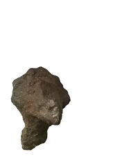 Dinosaur Head Mummified Type Fossil. Authentic.  Rare*  picture