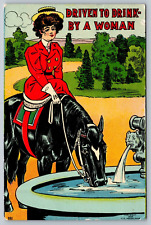 Woman Riding Horse Driven To Drink By A Woman Alcohol Humor Postcard picture