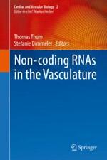 Non-coding RNAs in the Vasculature 3623 picture